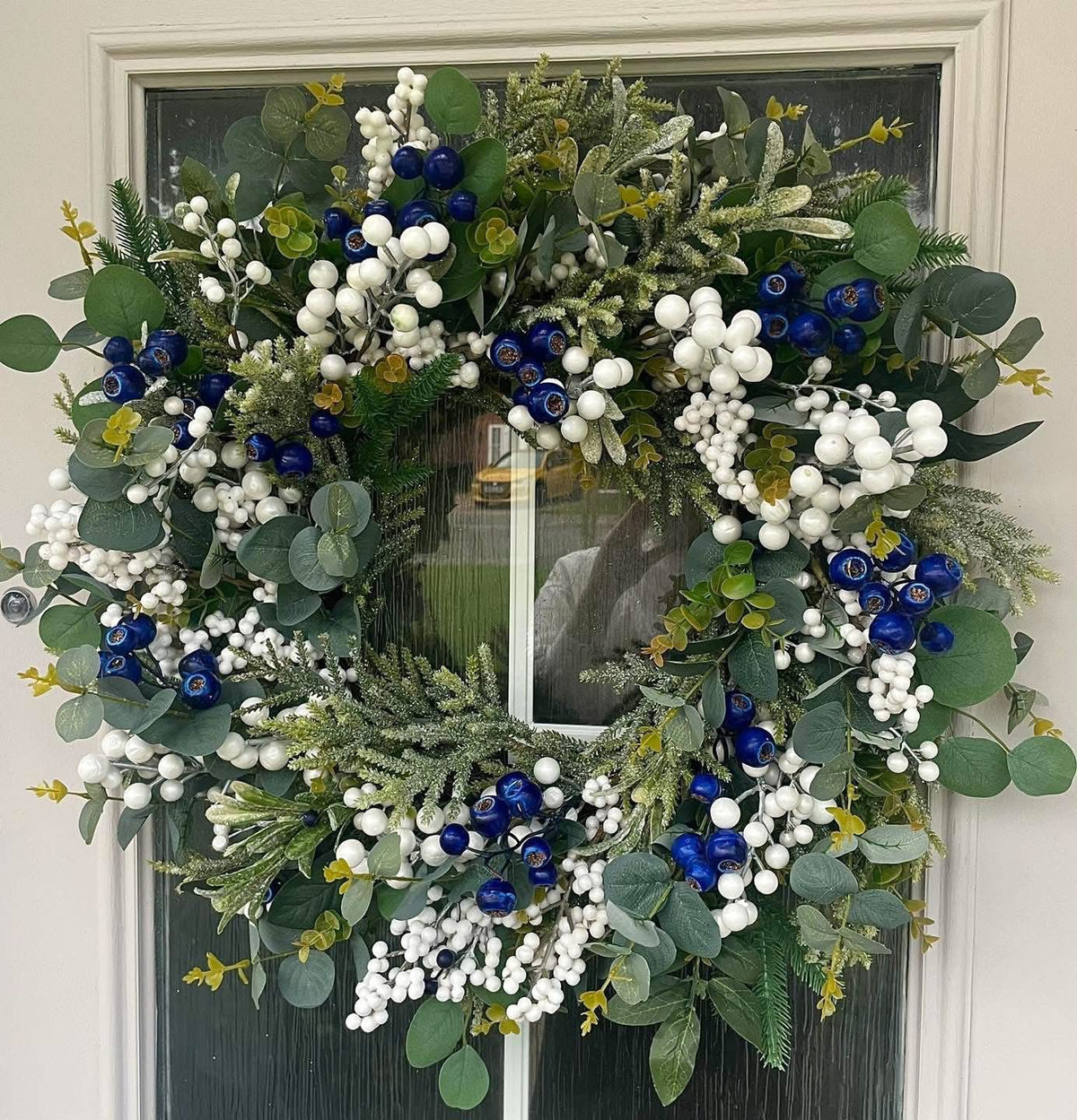 Blue Berry Mistletoe