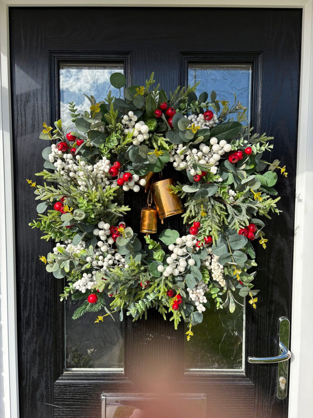 Red Bell Berry Mistletoe