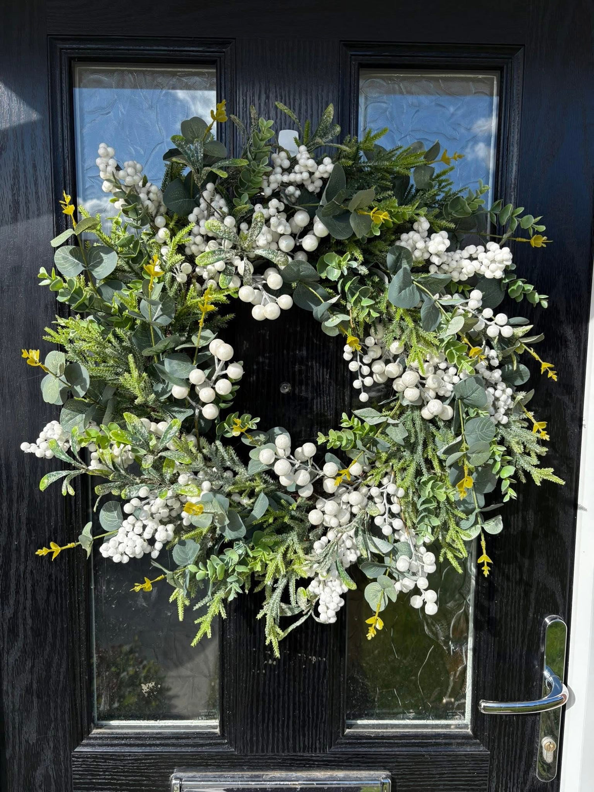 Mistletoe